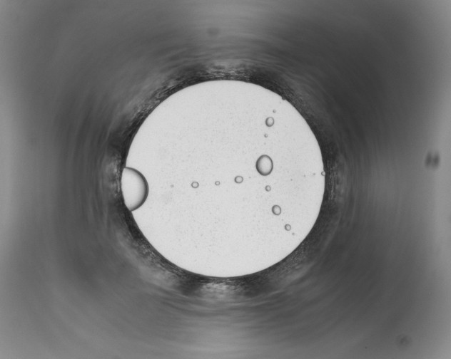 X0000112050699200909151003