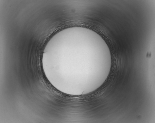 X0000112050700200909151003