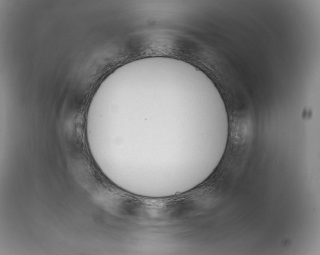 X0000112050701200909151003