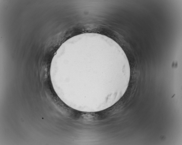 X0000112050703200909151003