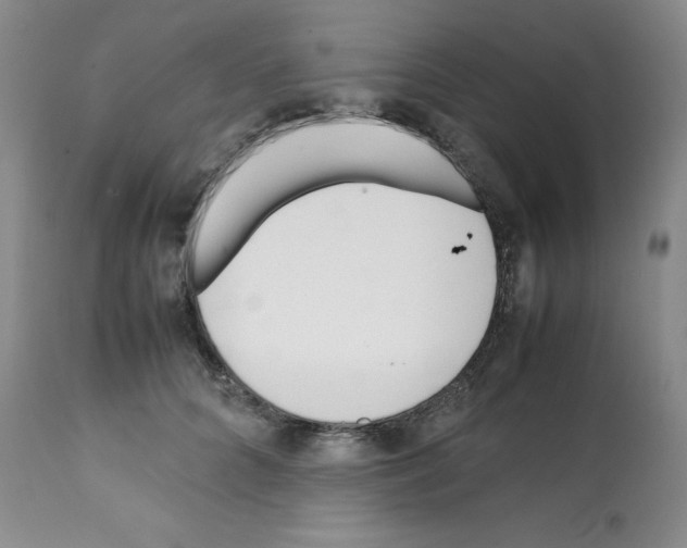 X0000112050704200909151003