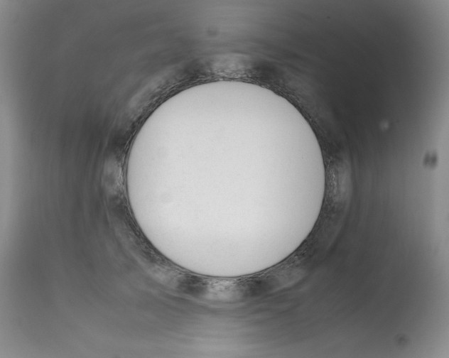 X0000112050705200909151003