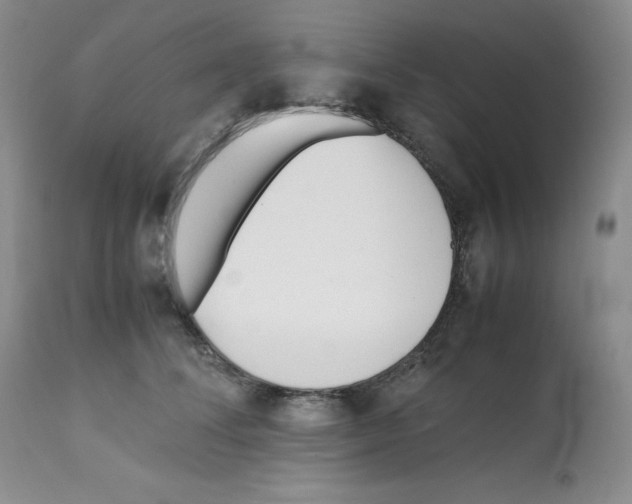 X0000112050708200909151003