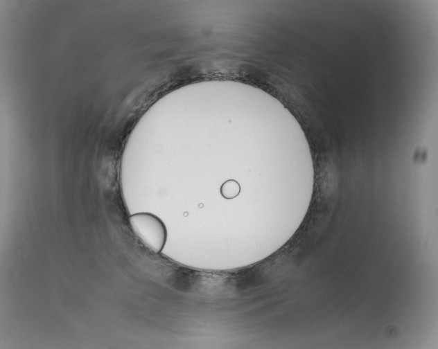 X0000112050709200909151003