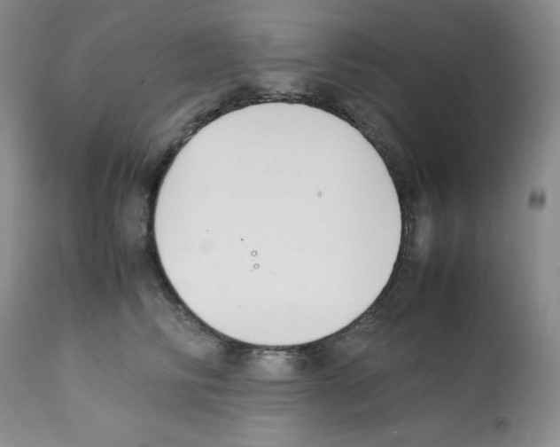 X0000112050710200909151002