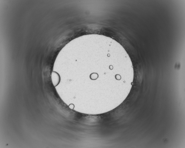 X0000112050711200909151002