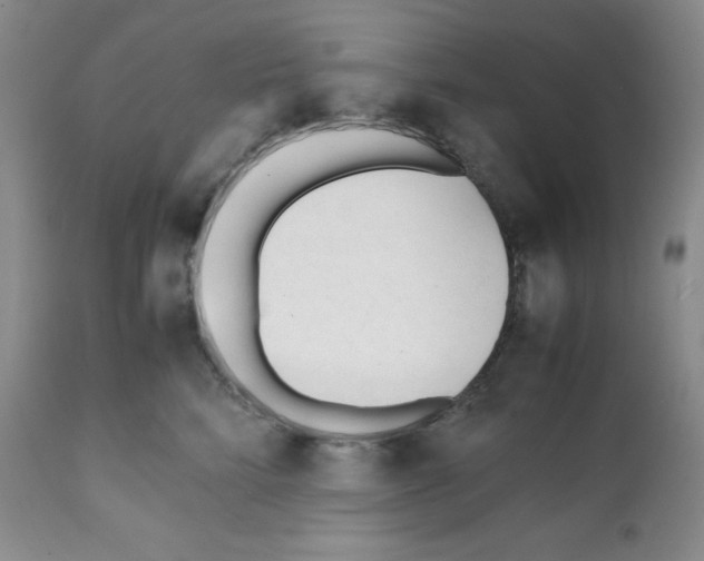 X0000112050712200909151002