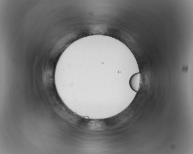 X0000112050714200909151002