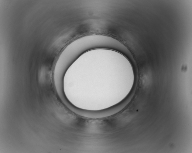 X0000112050716200909151002