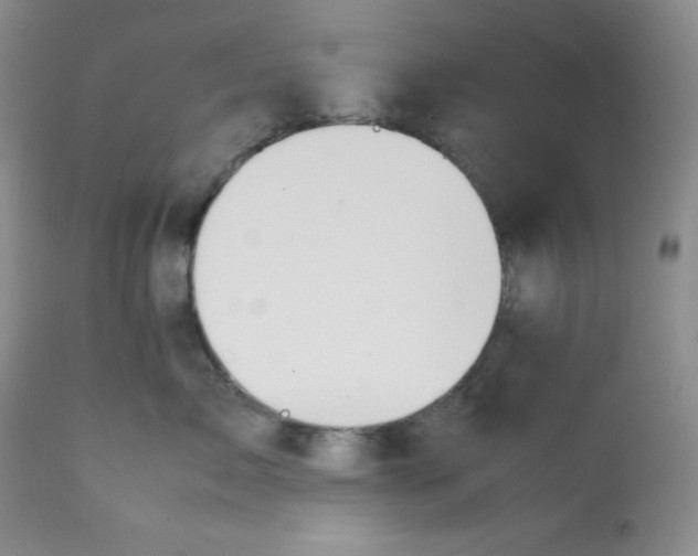 X0000112050717200909151002