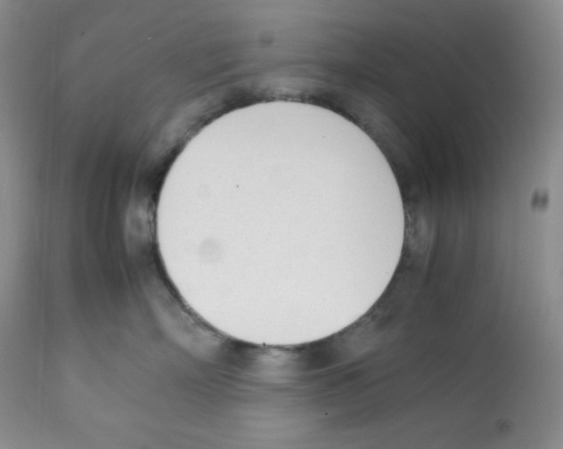 X0000112050718200909151002