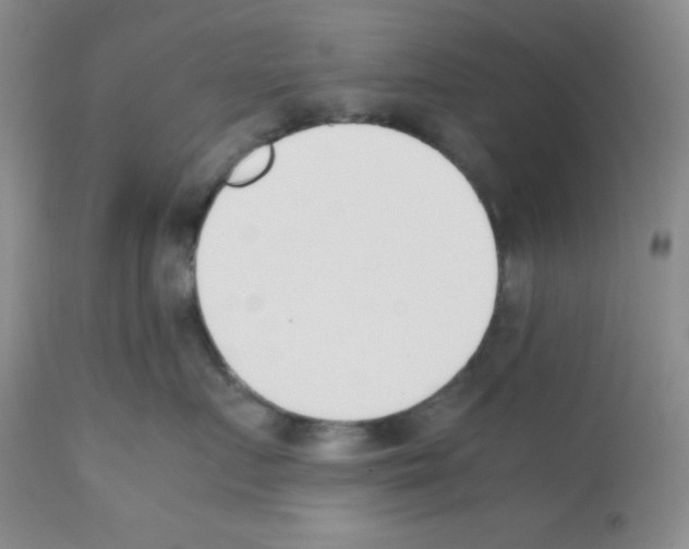 X0000112050719200909151002