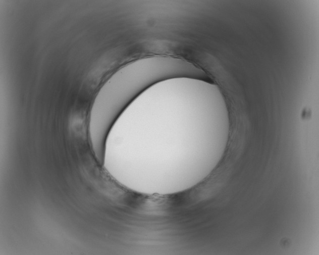 X0000112050720200909151002