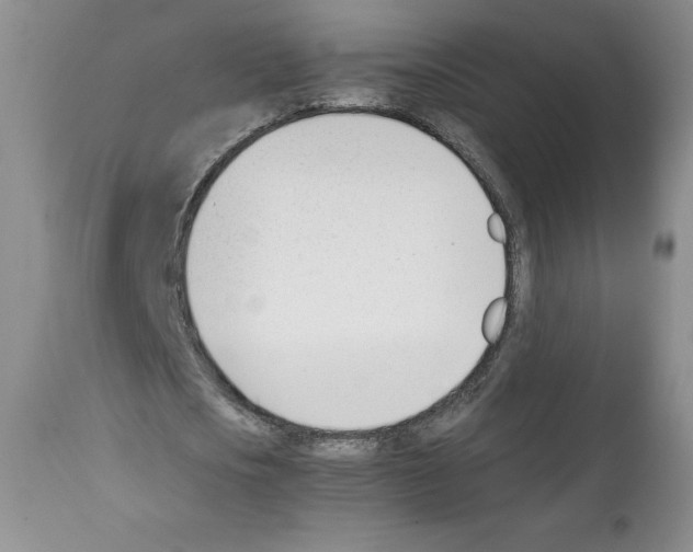 X0000112050721200909151002