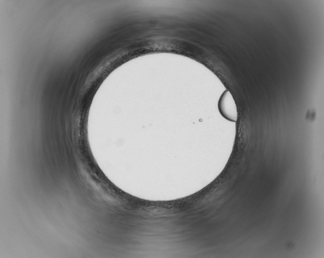 X0000112050722200909151002