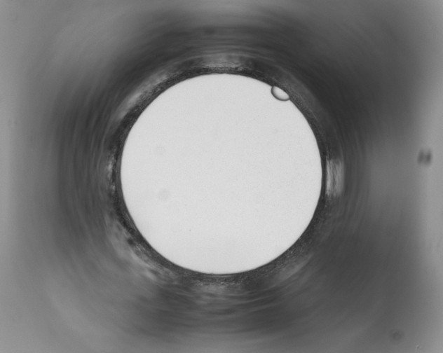 X0000112050723200909151002