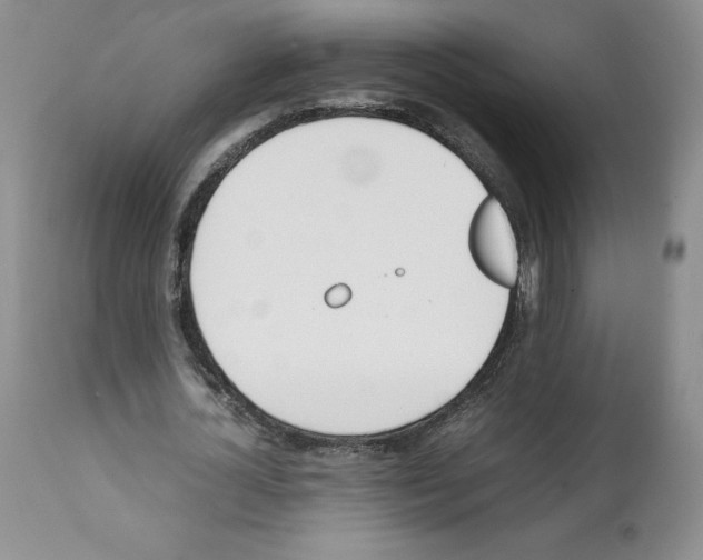 X0000112050724200909151002