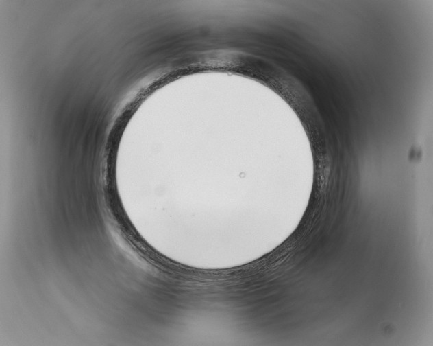 X0000112050726200909151002