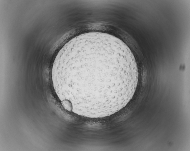 X0000112050729200909151002