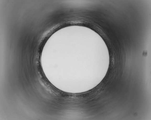 X0000112050732200909151002