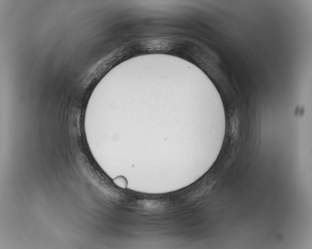 X0000112050733200909151002
