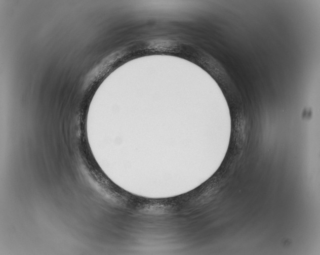 X0000112050734200909151002