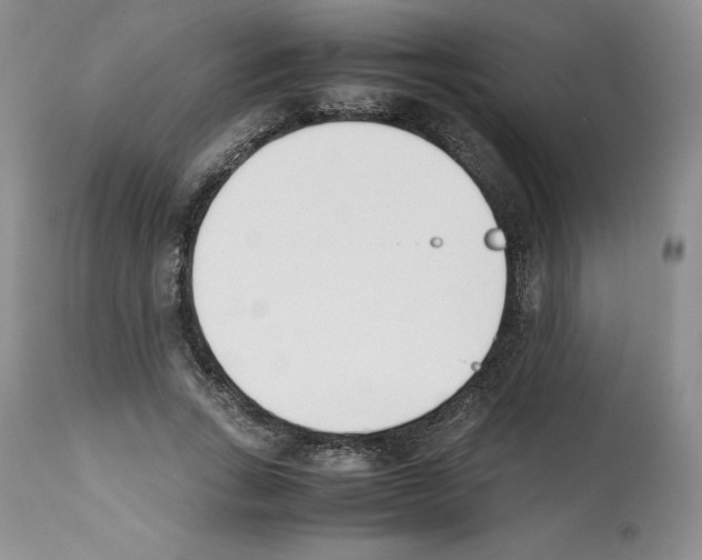 X0000112050735200909151002
