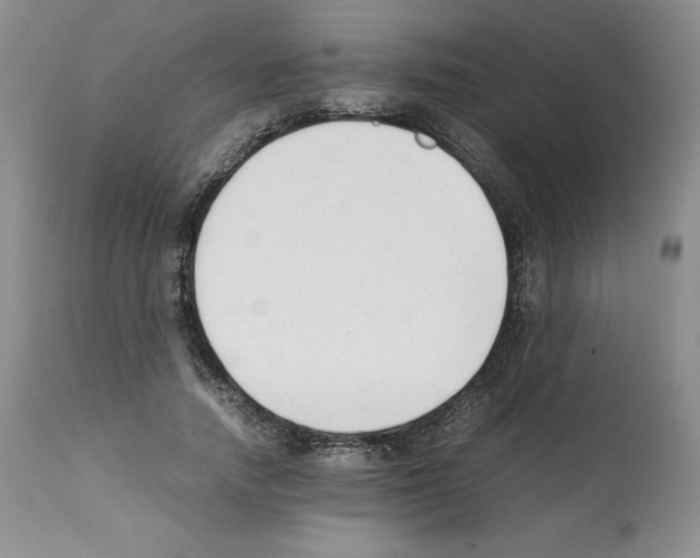 X0000112050738200909151002