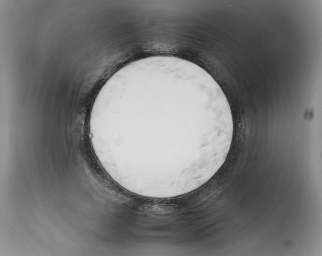 X0000112050739200909151002
