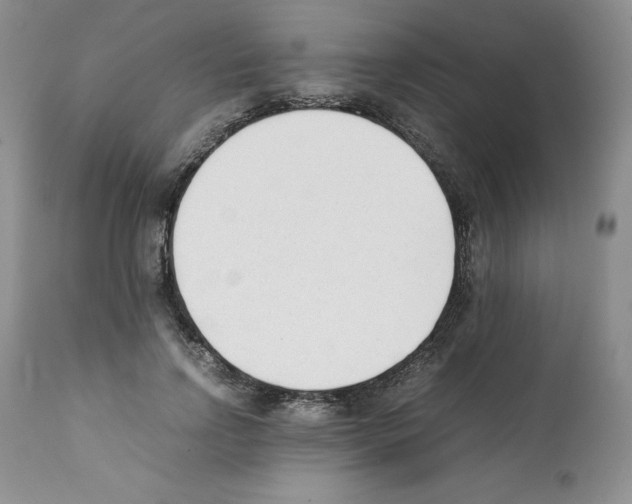 X0000112050742200909151002