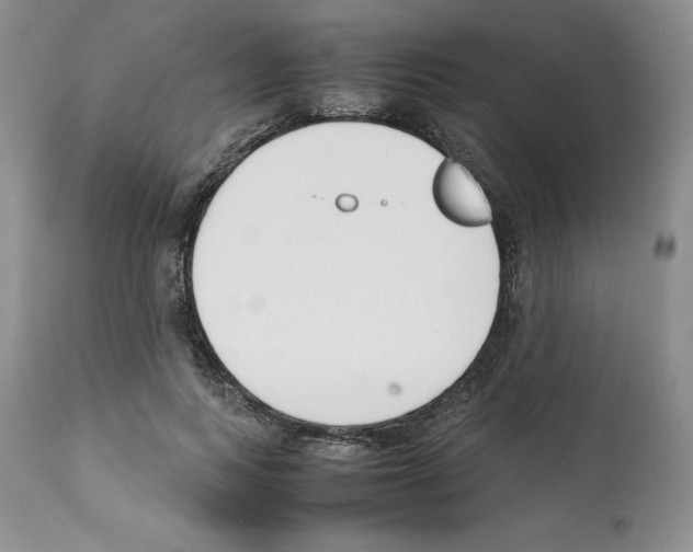 X0000112050743200909151002