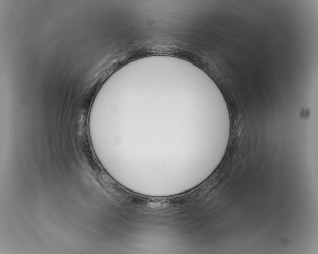 X0000112050744200909151002