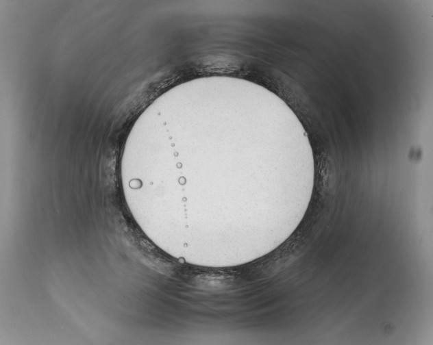 X0000112050745200909151002