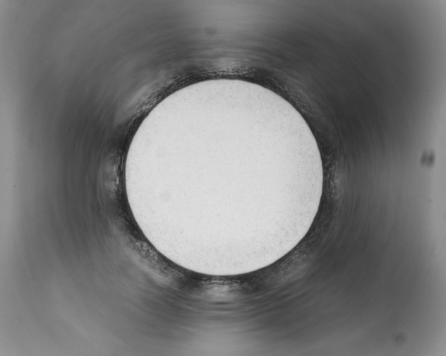 X0000112050746200909151002