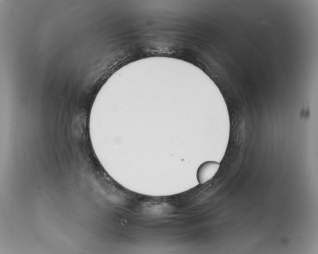 X0000112050747200909151002