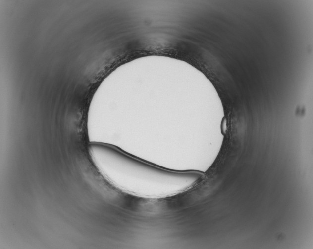 X0000112050750200909151002