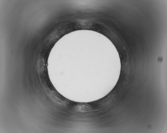 X0000112050752200909151002