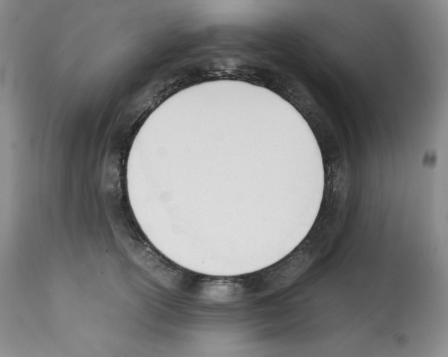 X0000112050754200909151002