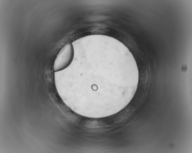 X0000112050755200909151002