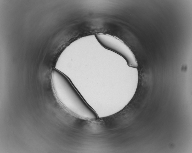 X0000112050756200909151002