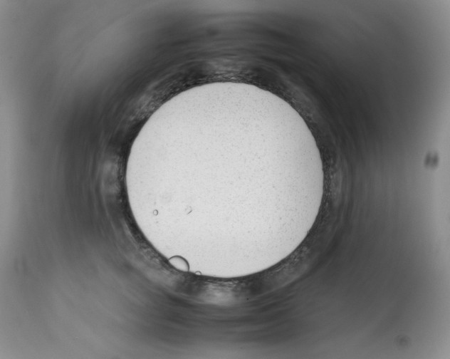X0000112050757200909151002