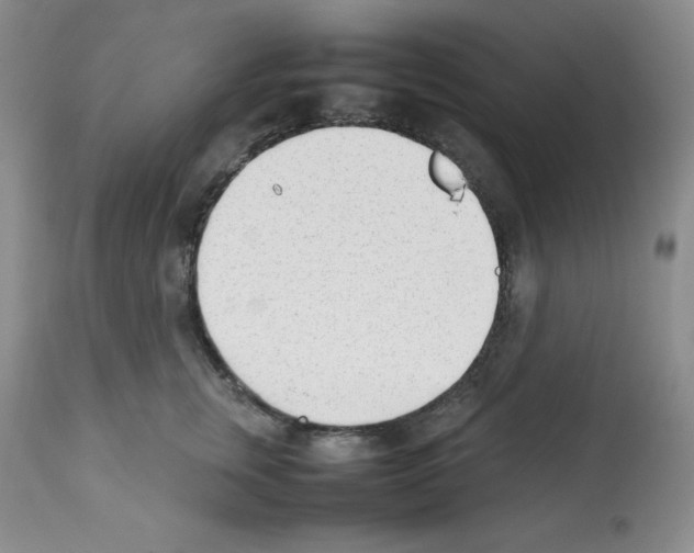 X0000112050759200909151002