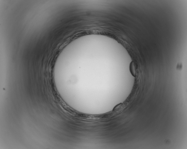 X0000112050760200909151002