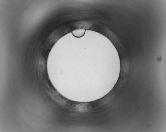 X0000112050761200909151002