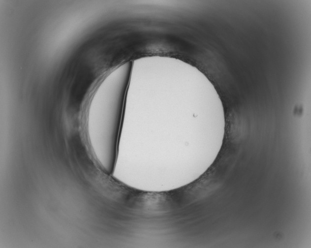 X0000112050762200909151002