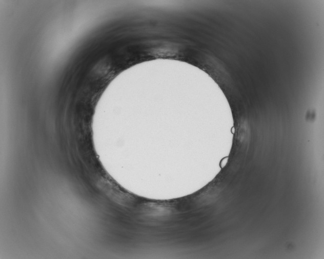 X0000112050763200909151002