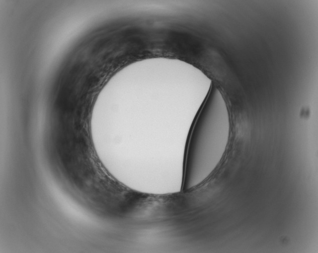 X0000112050764200909151002