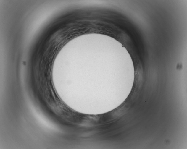 X0000112050765200909151002