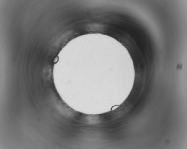 X0000112050767200909151002