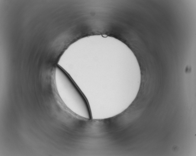 X0000112050768200909151002